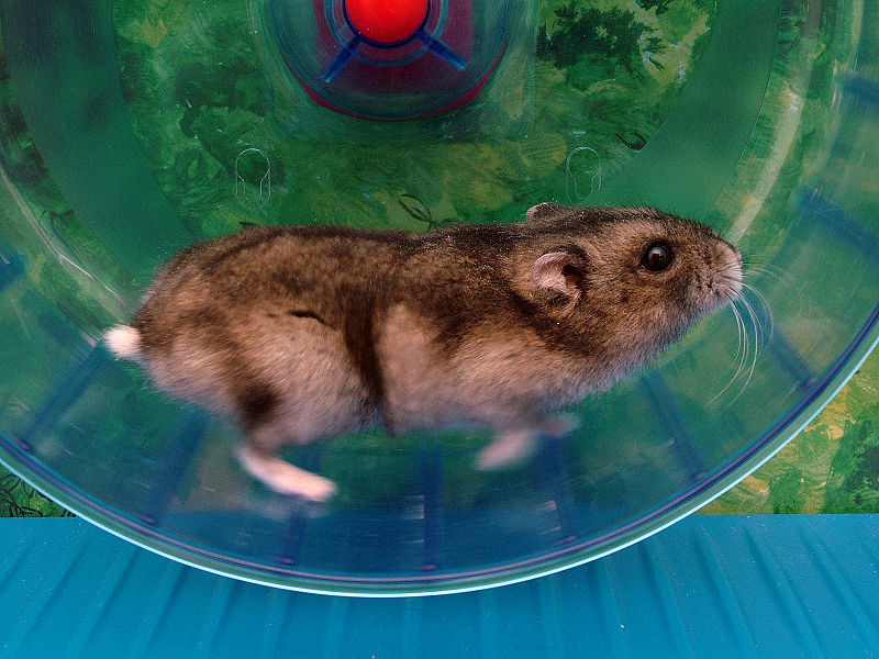 Spinning My Wheels