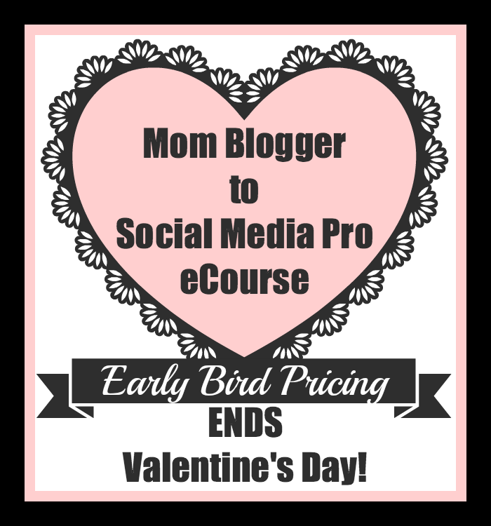 Mom Blogger Promo