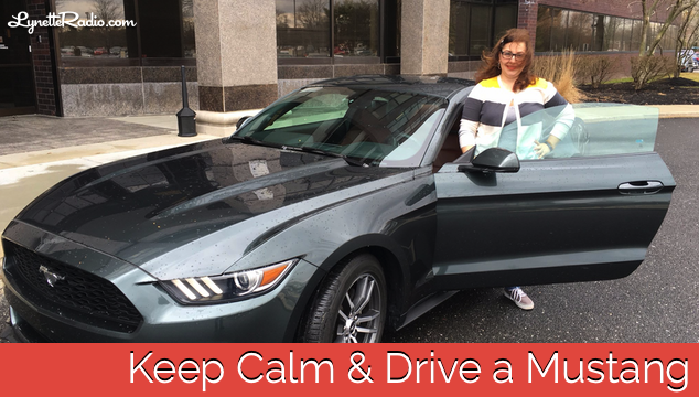 Keep Calm and Drive a Mustang